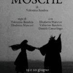MOSCHE di Valentina Bandera